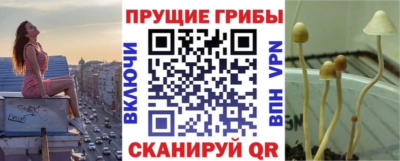 Псилоцибиновые грибы GOLDEN TEACHER Тетюши