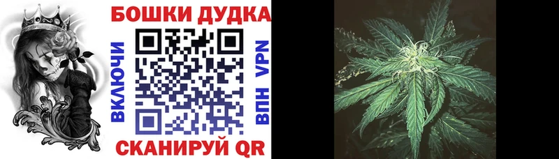 Бошки марихуана THC 21%  Купить где  Тетюши 